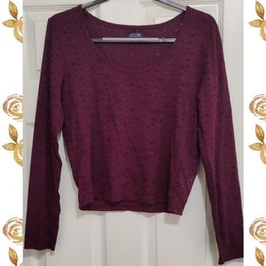 💜American Eagle Soft & Sexy Burgundy Long Sleeve Crop Top